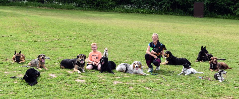 Dog Trainings Center - Hundepension Nicole Boucsein - Altes Forsthaus