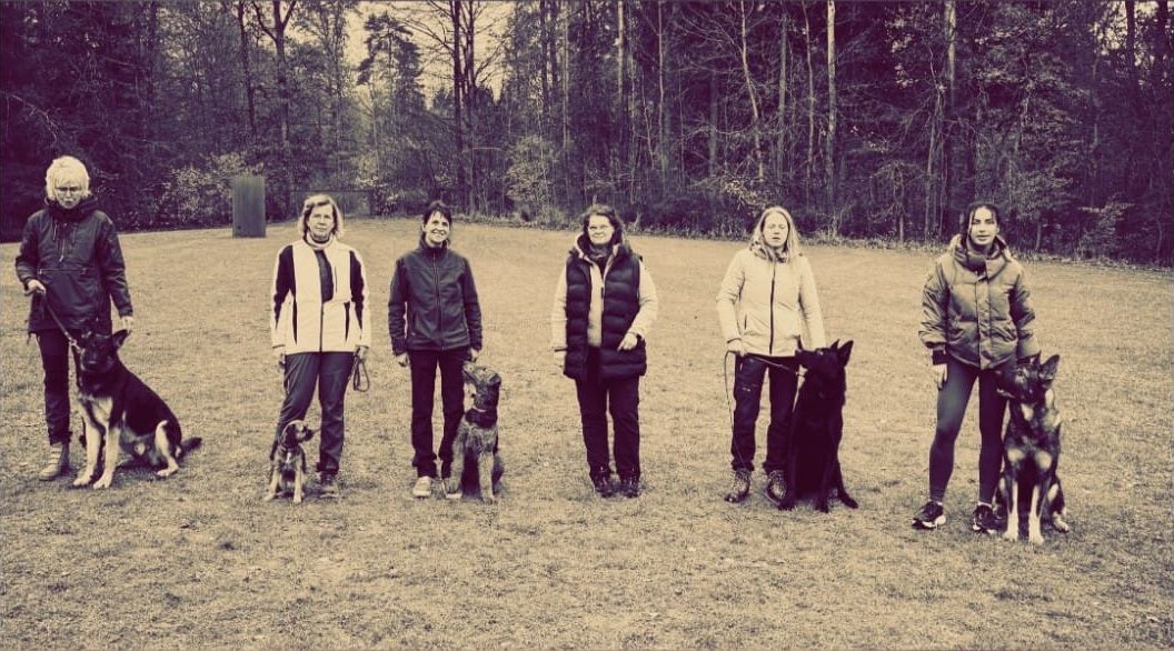 AD Prüfung am 08.11.2025 erfolgreich bestanden